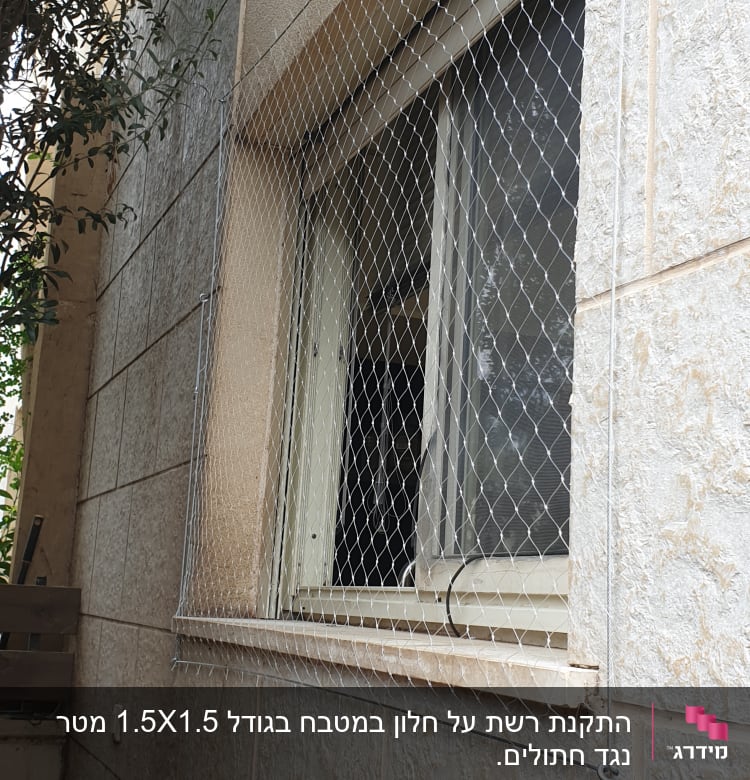רשת מתכת מותקנת על חלון למניעת כניסת יונים